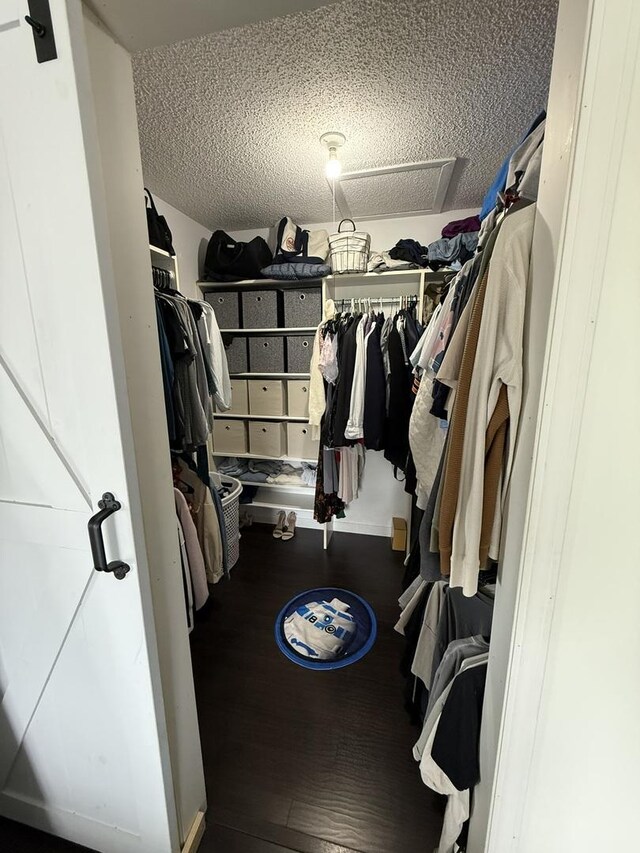 spacious closet with wood finished floors