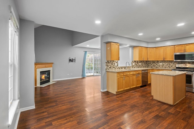 kitchen featuring open floor plan, a sink, appliances with stainless steel finishes, and dark wood-style flooring