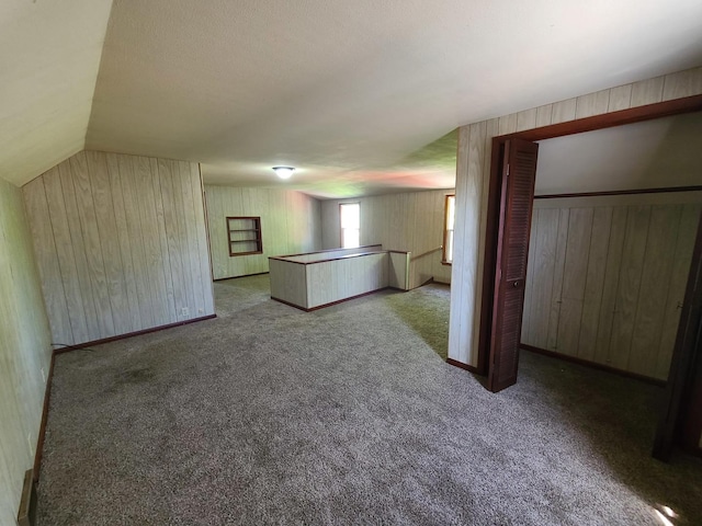 518 3rd Ave, Dixon, IL 61021 - unfurnished living room featuring wood walls, carpet flooring, and lofted ceiling