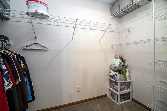 833 Poe St, Manteno, IL 60950 - spacious closet with carpet flooring