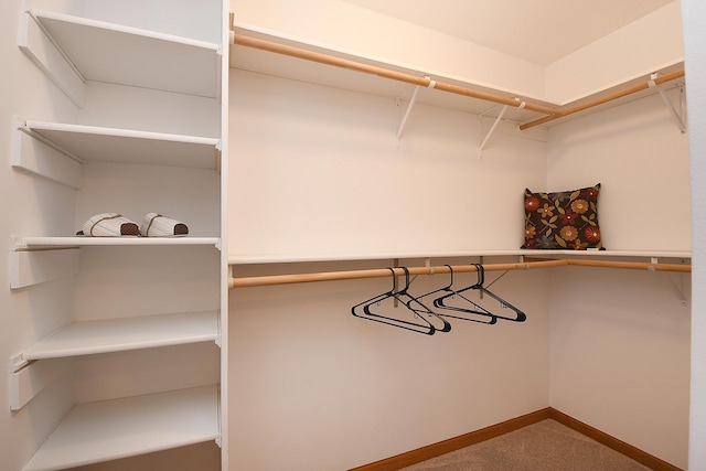 10300 Village Circle Dr Unit 1109, Palos Park, IL 60464 - spacious closet with carpet floors