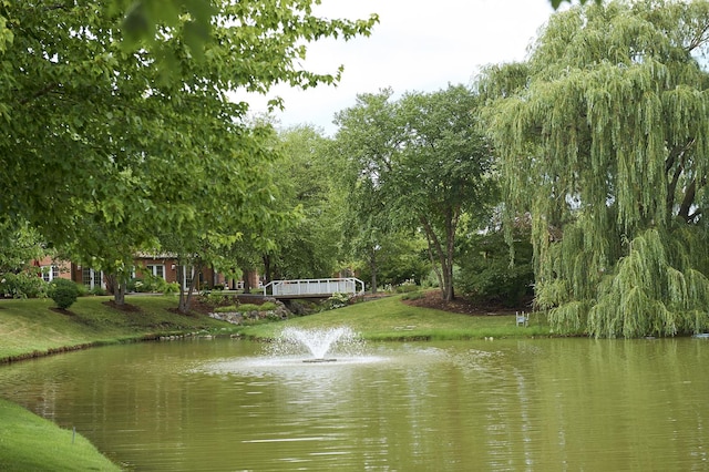 10300 Village Circle Dr Unit 1109, Palos Park, IL 60464 - property view of water