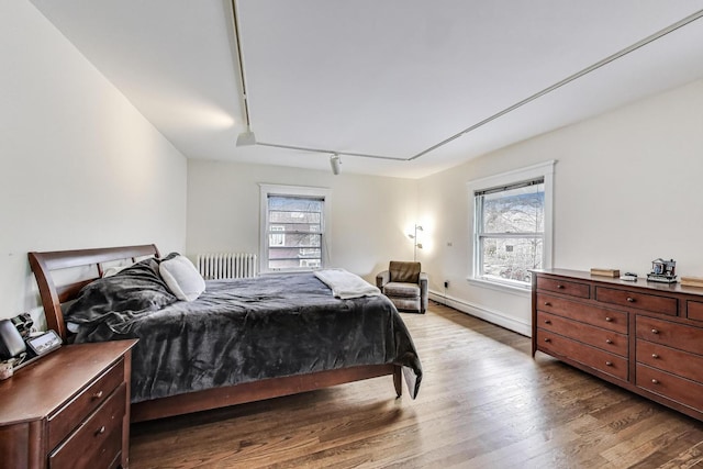 bedroom with wood finished floors, rail lighting, baseboard heating, and multiple windows