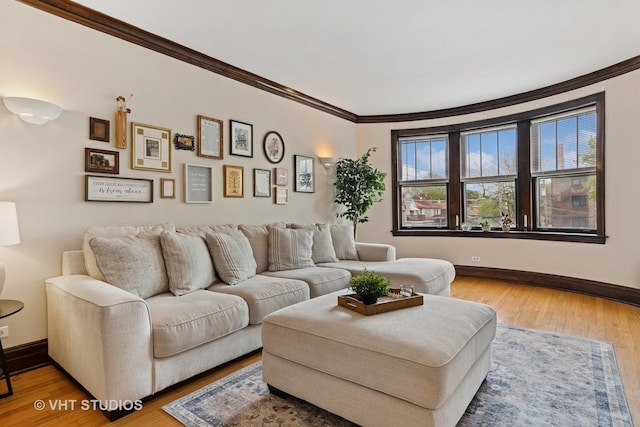 living area featuring crown molding, baseboards, and wood-type flooring