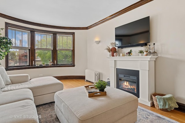 living area with crown molding, radiator, a glass covered fireplace, wood finished floors, and baseboards