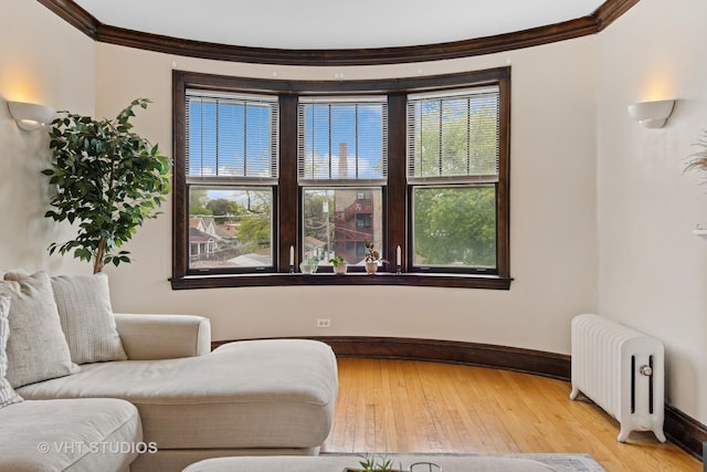 living area featuring baseboards, ornamental molding, and radiator heating unit