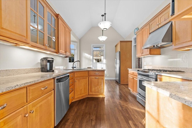 572 Vine Ave, Highland Park, IL 60035 - kitchen with a sink, dark wood-style flooring, light stone counters, under cabinet range hood, and appliances with stainless steel finishes