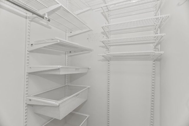 view of walk in closet