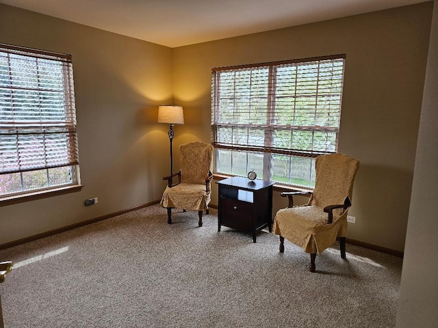 sitting room featuring baseboards and carpet