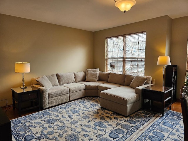 living area featuring wood finished floors