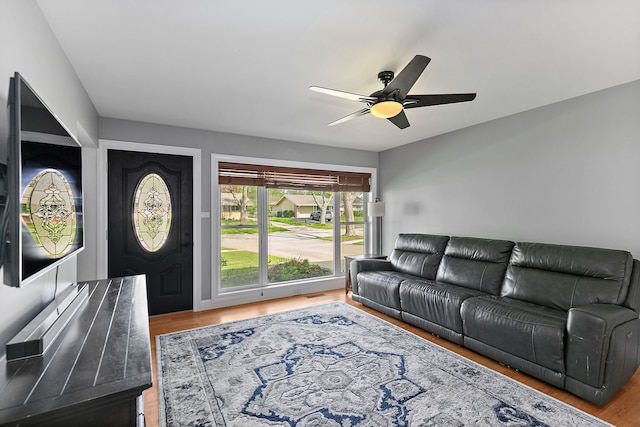 living area featuring ceiling fan and wood finished floors