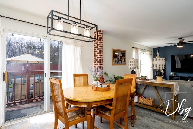 254 Spring Valley Way, Round Lake, IL 60073 - dining space with ceiling fan with notable chandelier and wood finished floors