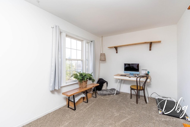 254 Spring Valley Way, Round Lake, IL 60073 - carpeted office with baseboards