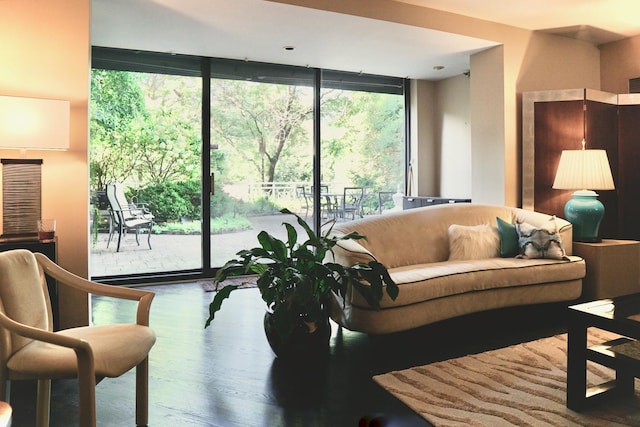 living area with expansive windows, wood finished floors, and a healthy amount of sunlight