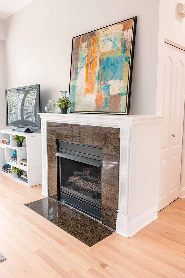 details with a tile fireplace and wood finished floors