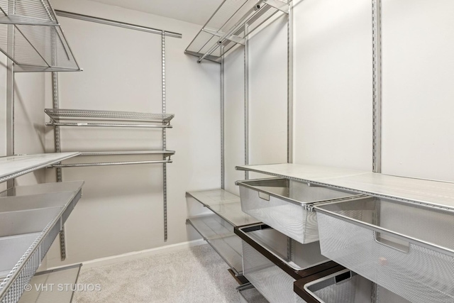 walk in closet with carpet flooring