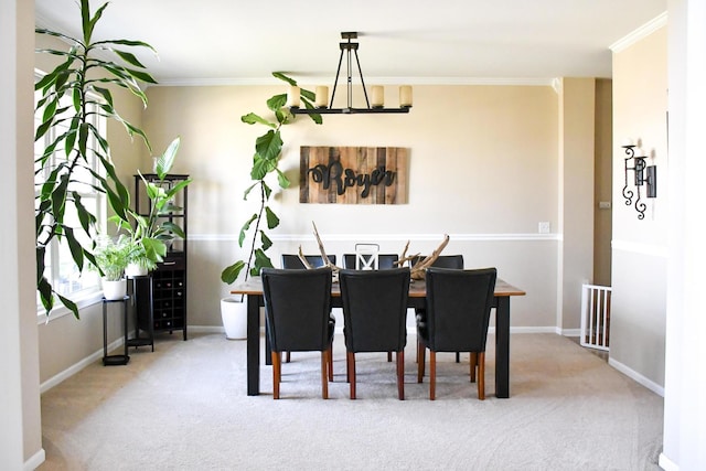 dining room with carpet floors, crown molding, and baseboards