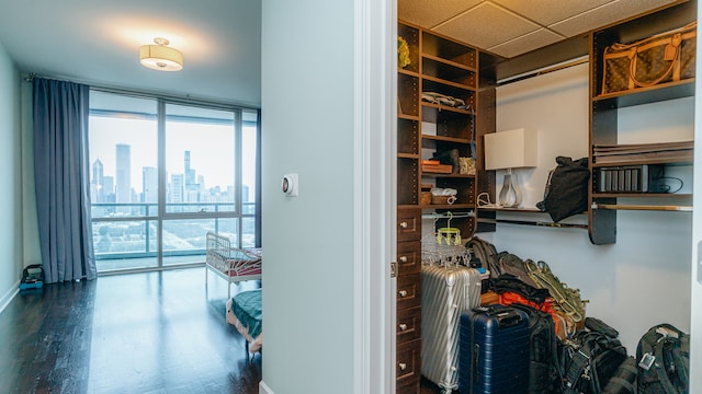 spacious closet featuring wood finished floors