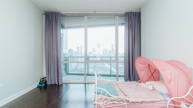 bedroom with wood finished floors, expansive windows, baseboards, and a skyline view
