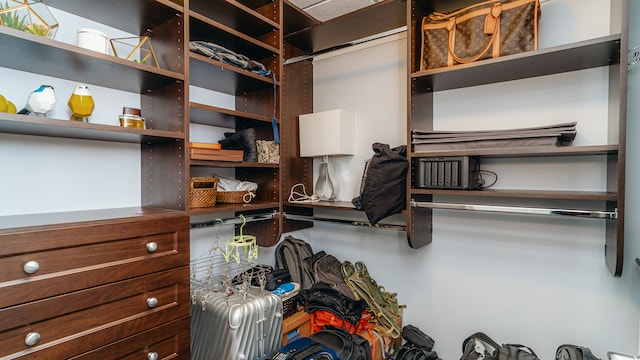 view of spacious closet