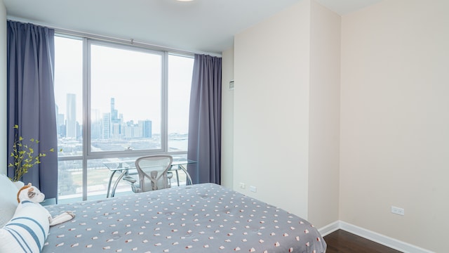 bedroom with a wall of windows, wood finished floors, baseboards, and a view of skyline