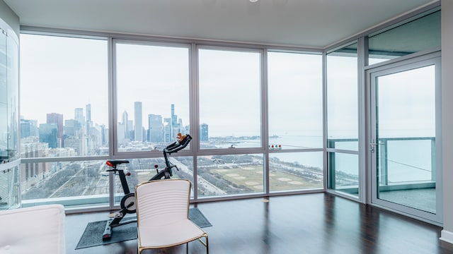workout area with a skyline view, healthy amount of natural light, wood finished floors, and a wall of windows