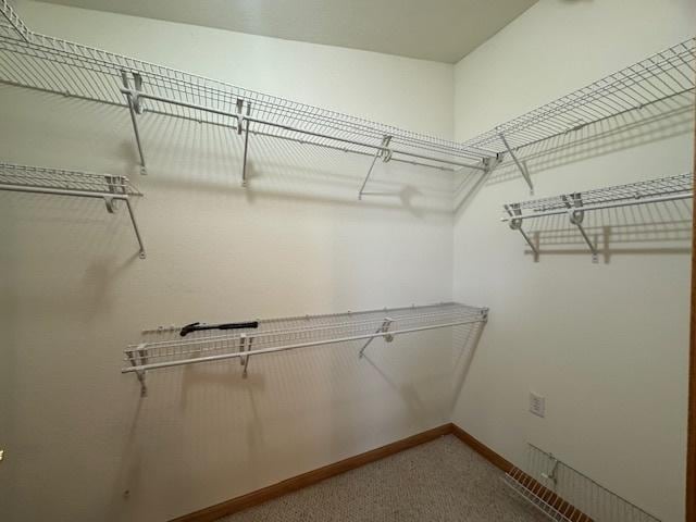 spacious closet with carpet