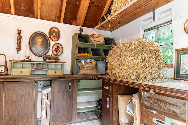 105 S High St, Galena, IL 61036 - view of storage area