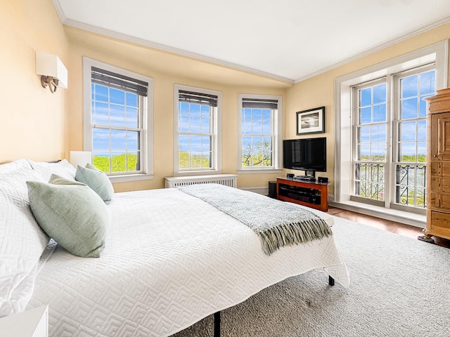 2600 N Lakeview Ave Unit 7E, Chicago, IL 60614 - bedroom featuring ornamental molding, multiple windows, and wood finished floors