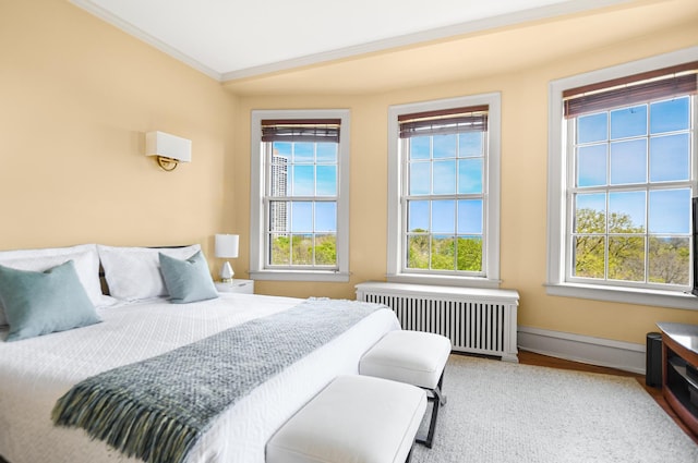 2600 N Lakeview Ave Unit 7E, Chicago, IL 60614 - bedroom featuring radiator heating unit, multiple windows, crown molding, and baseboards