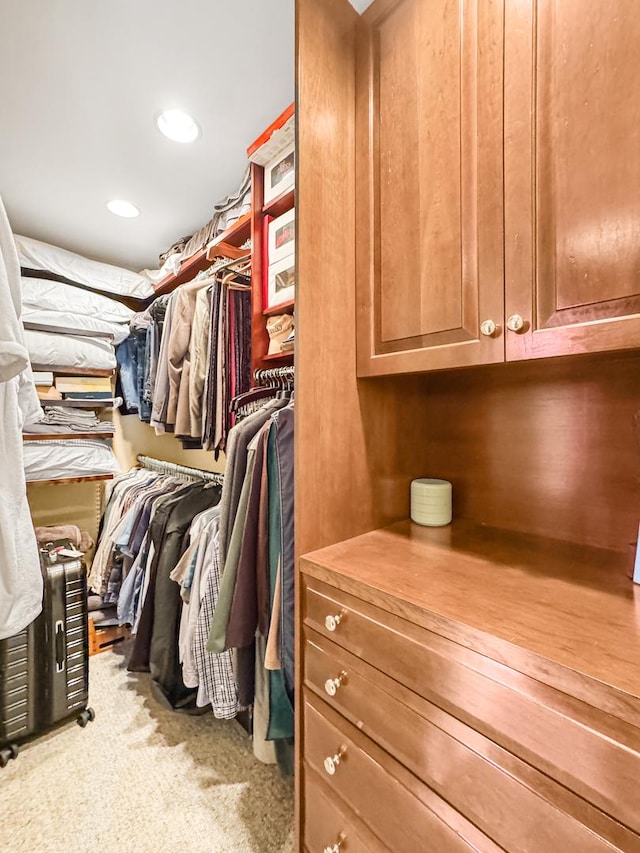2600 N Lakeview Ave Unit 7E, Chicago, IL 60614 - spacious closet featuring carpet flooring