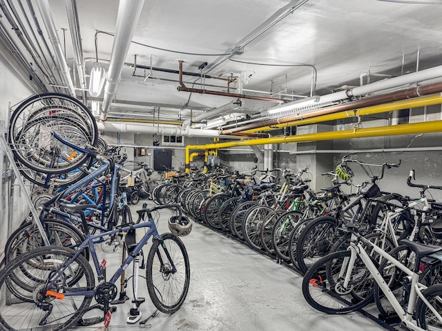 2600 N Lakeview Ave Unit 7E, Chicago, IL 60614 - garage with bike storage