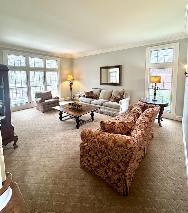 living room featuring crown molding, plenty of natural light, and carpet