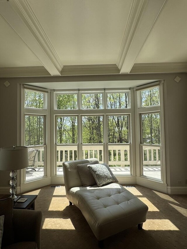 3009 Fox Glen Ct, Saint Charles, IL 60174 - sunroom / solarium featuring crown molding, plenty of natural light, french doors, and beam ceiling