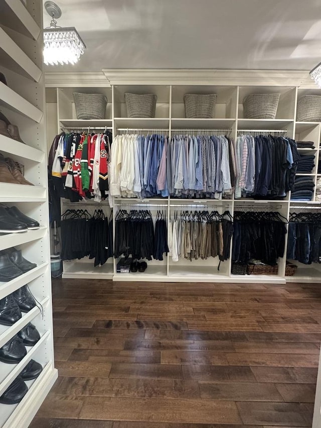 spacious closet with wood-type flooring