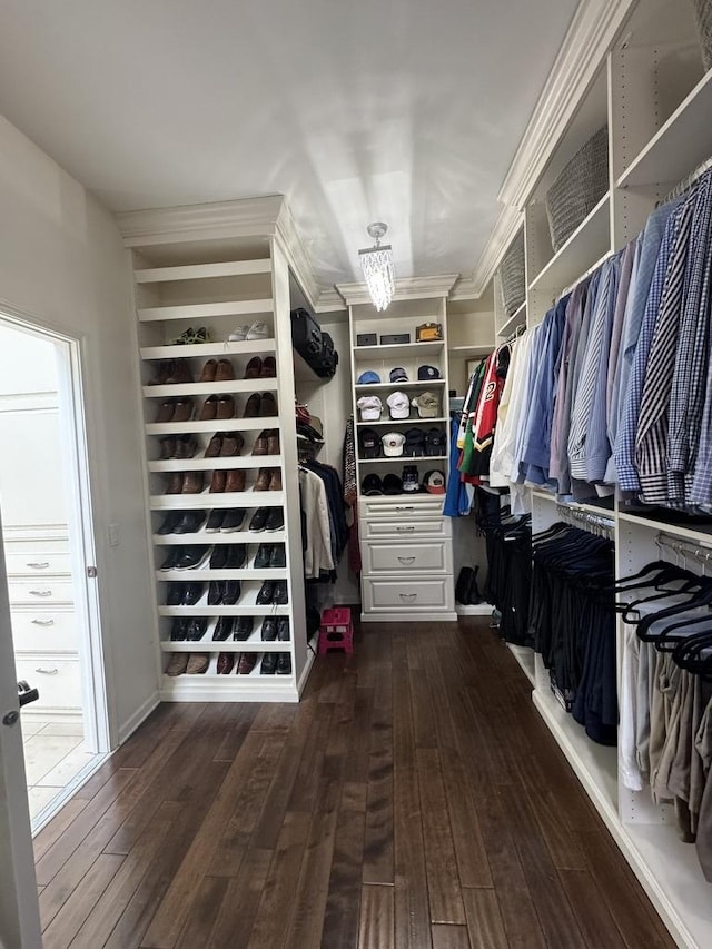 walk in closet with wood-type flooring