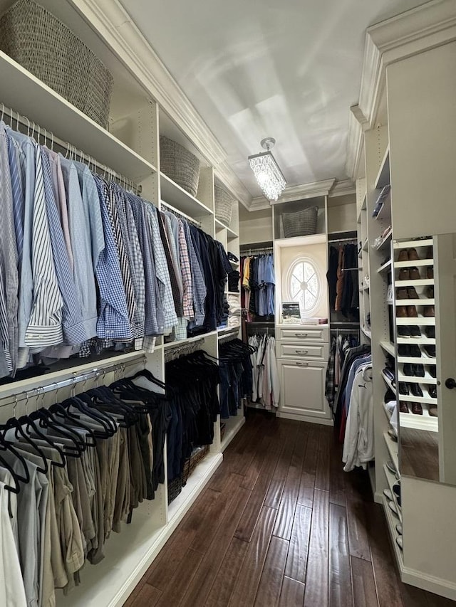 walk in closet with dark wood finished floors