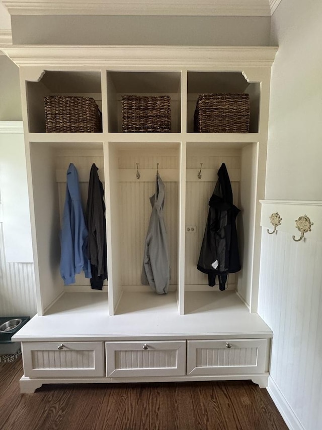 mudroom featuring dark wood-type flooring