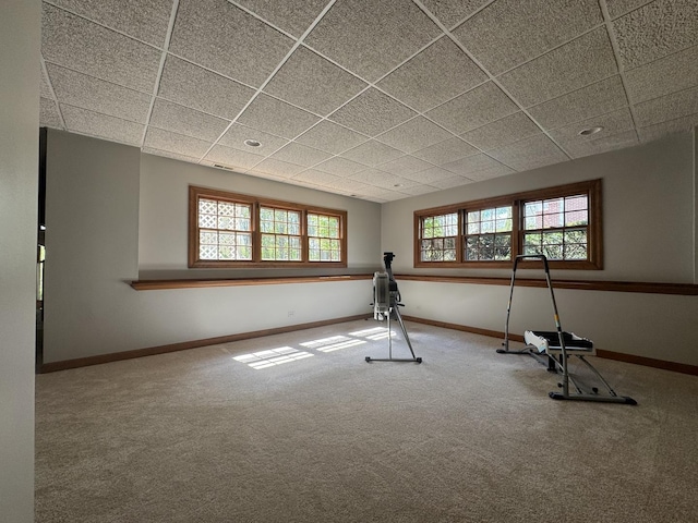 3009 Fox Glen Ct, Saint Charles, IL 60174 - exercise area featuring baseboards, a drop ceiling, and carpet floors