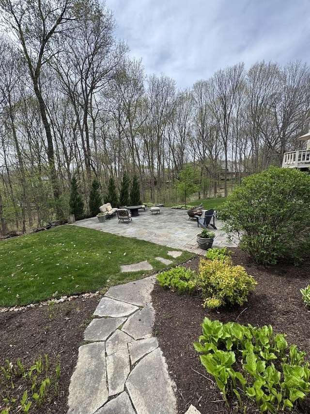surrounding community featuring a patio, a fire pit, and a yard