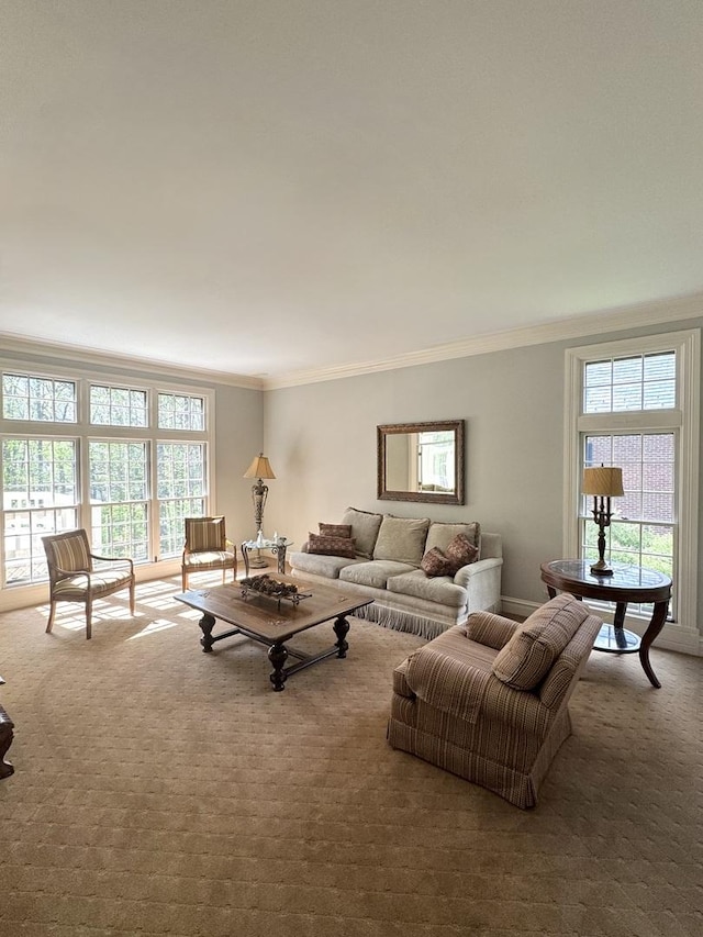 3009 Fox Glen Ct, Saint Charles, IL 60174 - carpeted living area with crown molding
