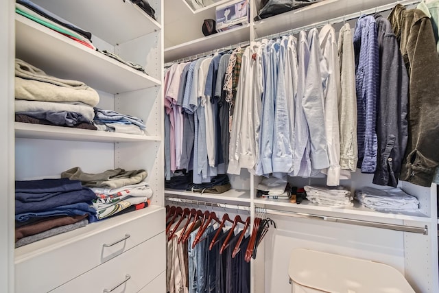 1462 W Winnemac Ave Unit 2, Chicago, IL 60640 - view of spacious closet