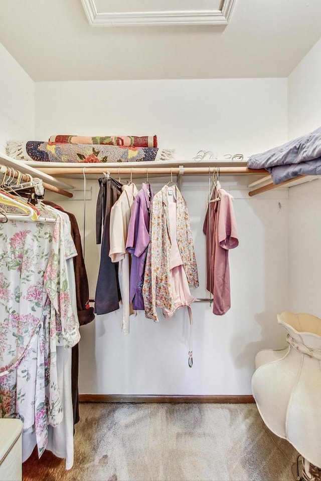 14506 Mallard Dr, Homer Glen, IL 60491 - walk in closet featuring carpet