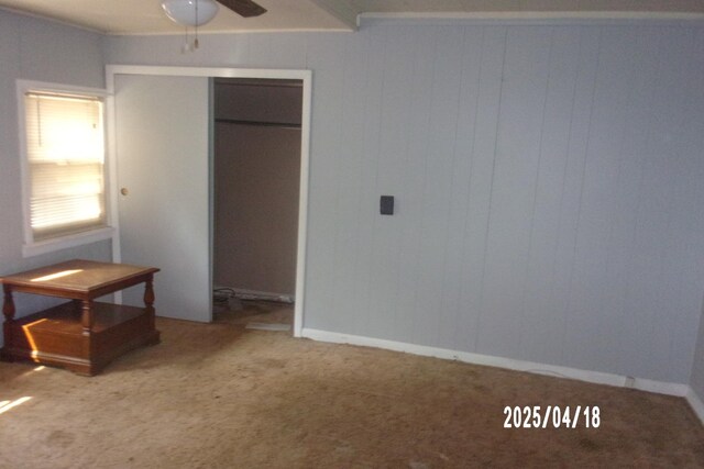 203 SE Walnut St, Iroquois, IL 60945 - photo 8