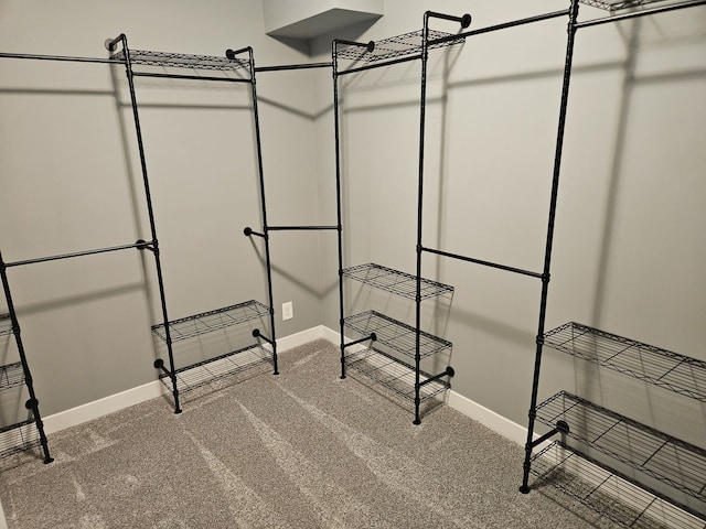 spacious closet featuring carpet floors