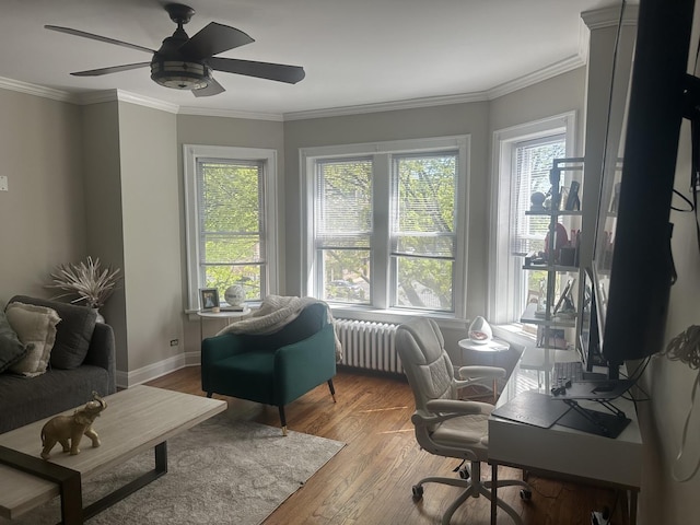 office area with radiator, plenty of natural light, a ceiling fan, and wood finished floors