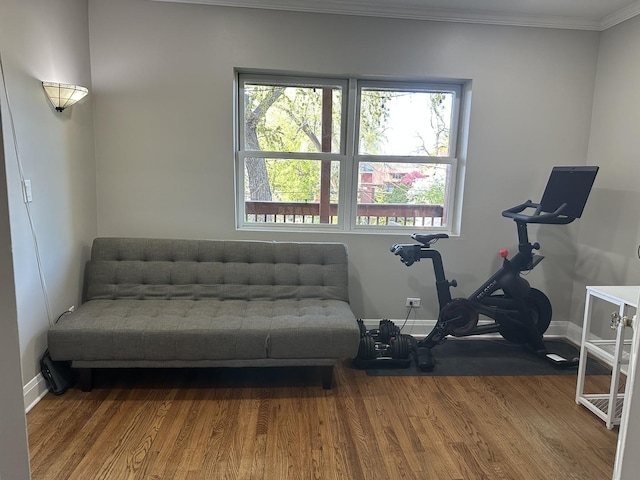 exercise area with a healthy amount of sunlight, baseboards, crown molding, and wood finished floors