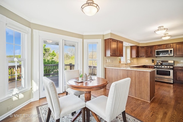 kitchen featuring a peninsula, plenty of natural light, stainless steel appliances, and dark wood-style flooring