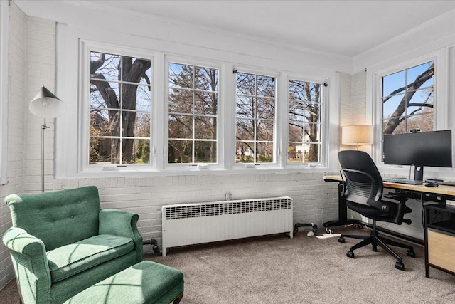 2341 Lincolnwood Dr, Evanston, IL 60201 - carpeted office space featuring radiator heating unit and ornamental molding