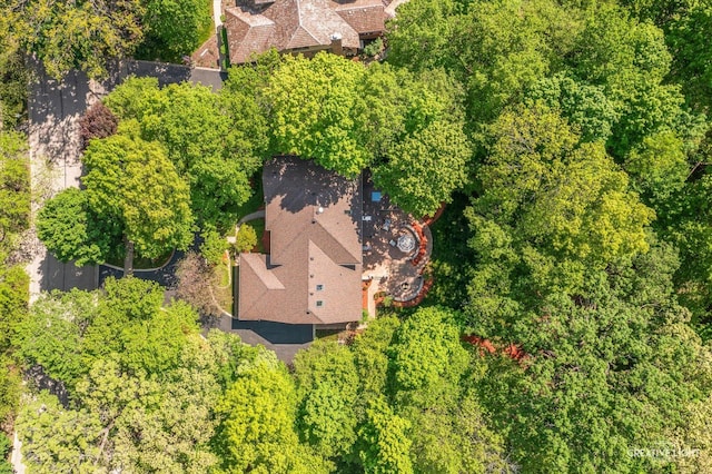 aerial view